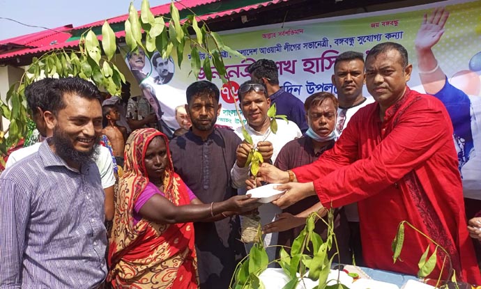 প্রধান অতিথি মোঃ আবুল কাশেম চৌধুরী আশ্রয়ন প্রকল্পের লোকজনের মাঝে ফলজ গাছ ও বৃক্ষ বিতরণ করছেন।