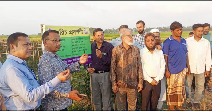 বানিয়াচংযে ফসল আবাদের প্রযুক্তি বিষয়ক প্রশিক্ষণ অনষ্ঠিত